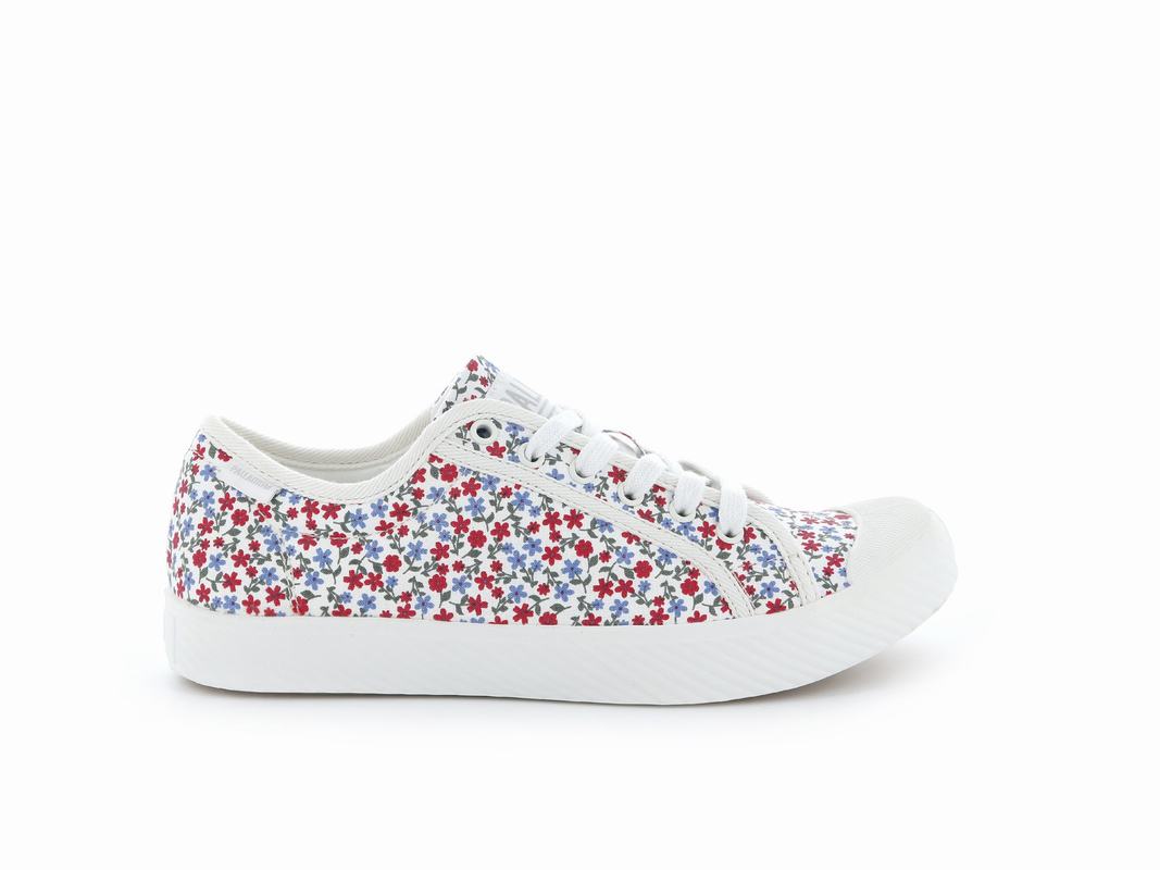 Palladium Pallaphoenix Canvas Print Women's Low Top Sneakers Multicolor (TPOI25938)